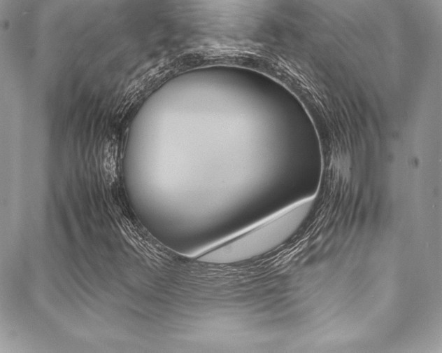 X0000089461348200706151055