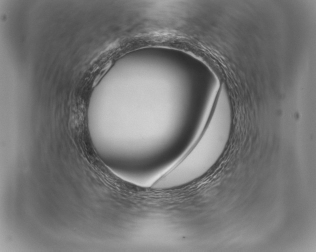 X0000089461349200706151055