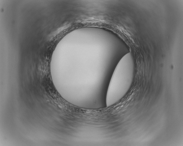X0000089461350200706151055
