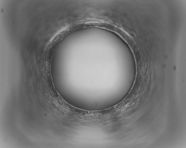 X0000089461351200706151055