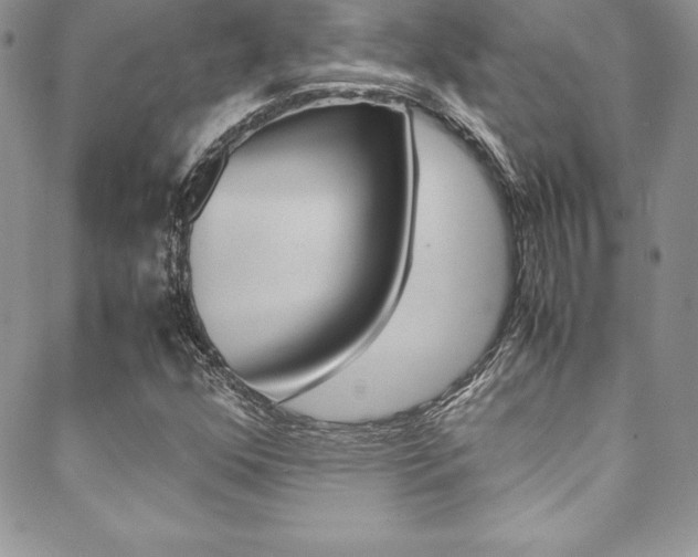 X0000089461352200706151055