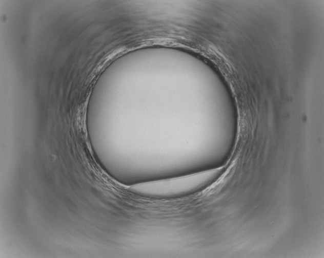 X0000089461353200706151055