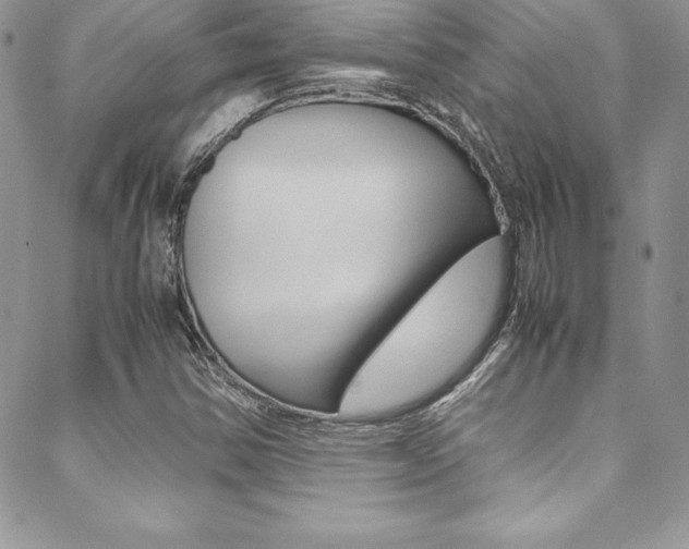 X0000089461354200706151055