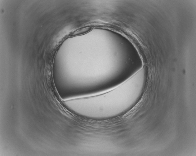 X0000089461355200706151055