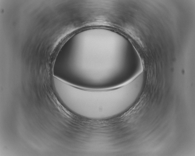 X0000089461356200706151055