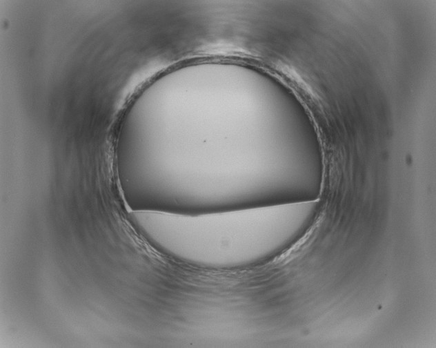 X0000089461358200706151055