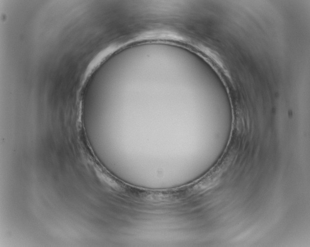 X0000089461366200706151055