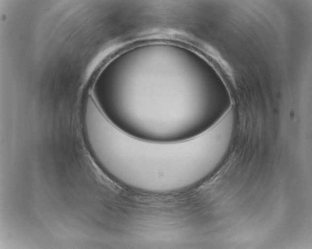 X0000089461368200706151055