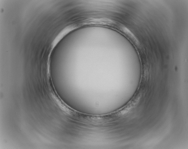 X0000089461370200706151055
