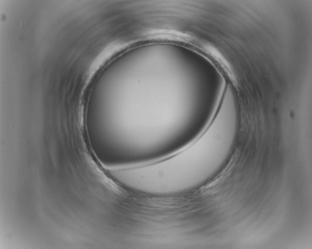 X0000089461376200706151055