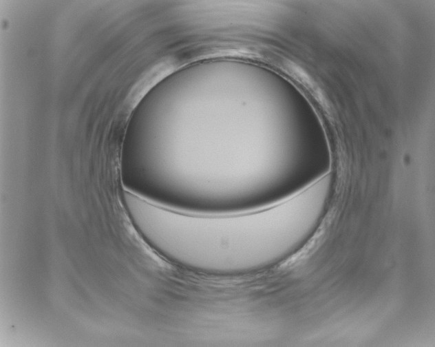 X0000089461377200706151055