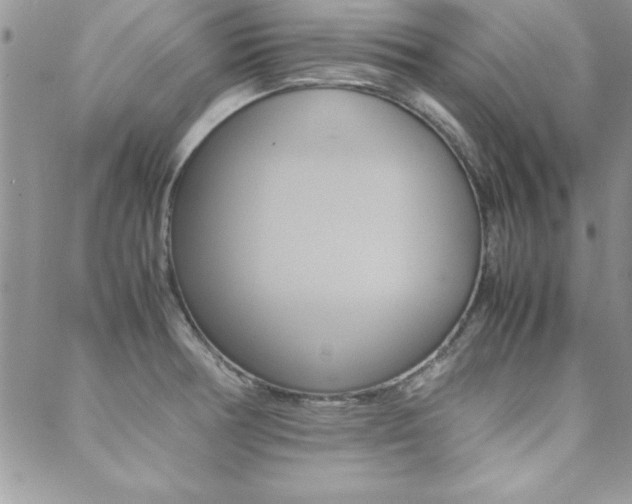X0000089461378200706151055