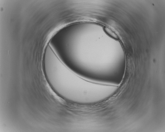 X0000089461379200706151055