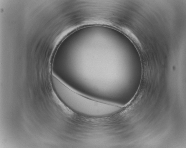 X0000089461380200706151055