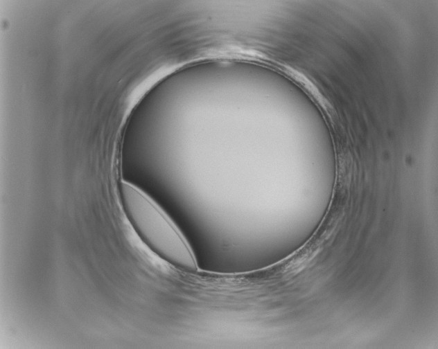 X0000089461387200706151055