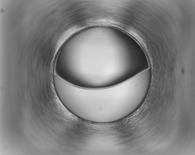 X0000089461392200706151055