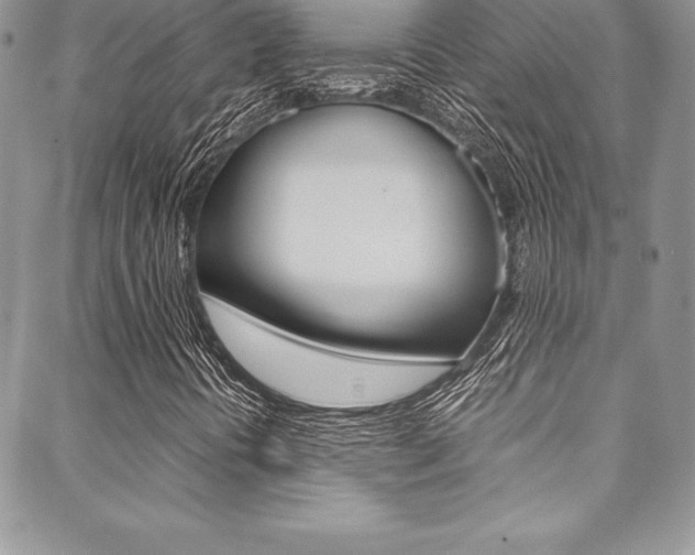 X0000089461394200706151054