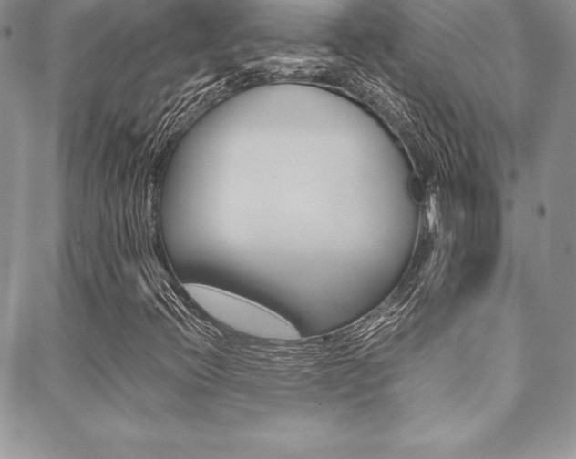 X0000089461396200706151054