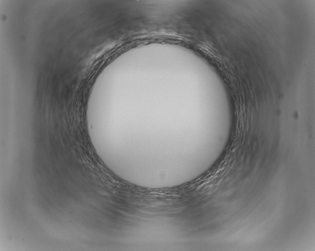 X0000089461398200706151054