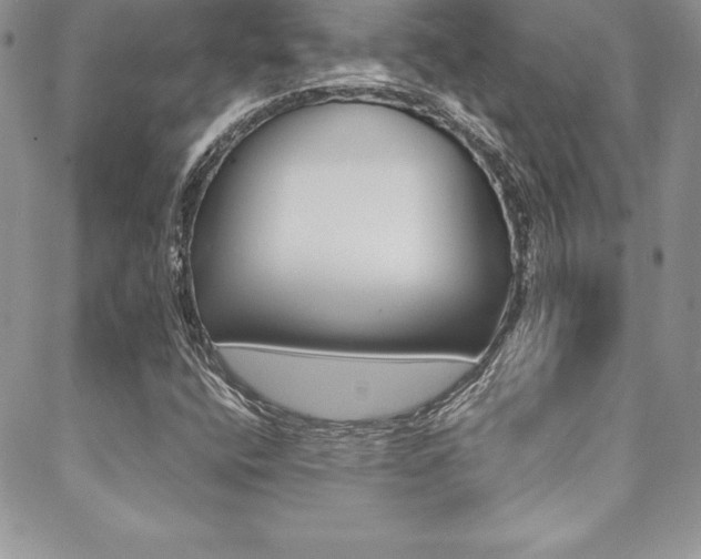 X0000089461400200706151054
