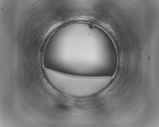 X0000089461404200706151054