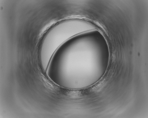 X0000089461406200706151054