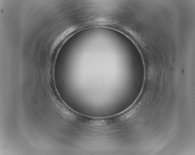 X0000089461410200706151054