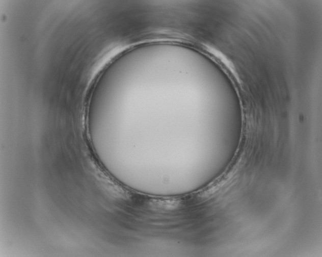 X0000089461415200706151054