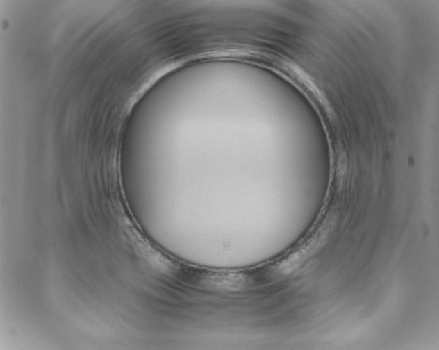 X0000089461417200706151054