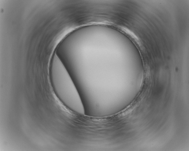 X0000089461423200706151054