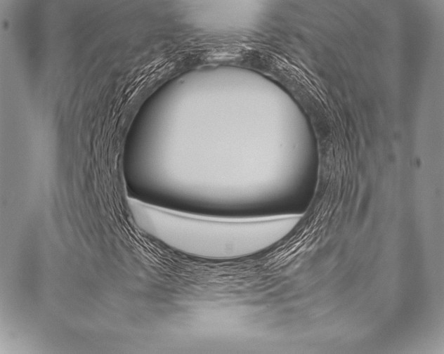 X0000089461441200706151054
