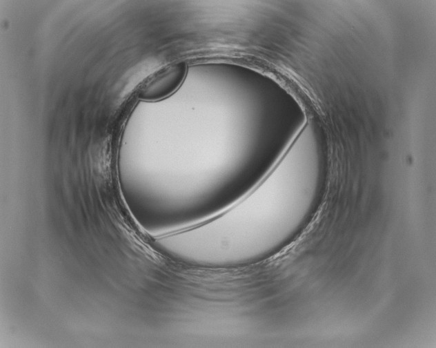 X0000089461450200706151054