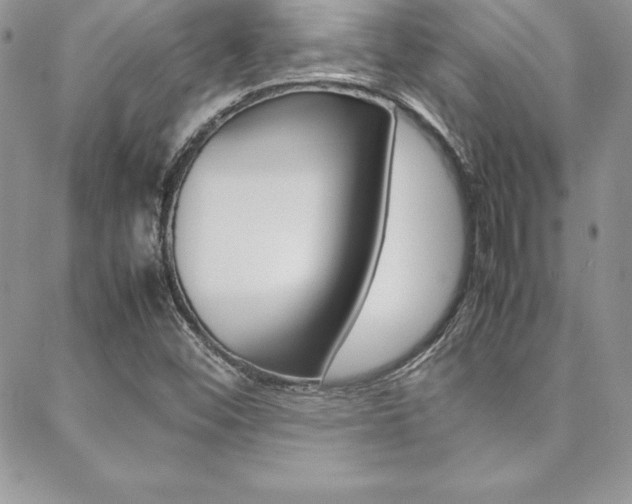 X0000089461452200706151054