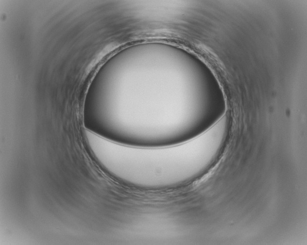 X0000089461457200706151054