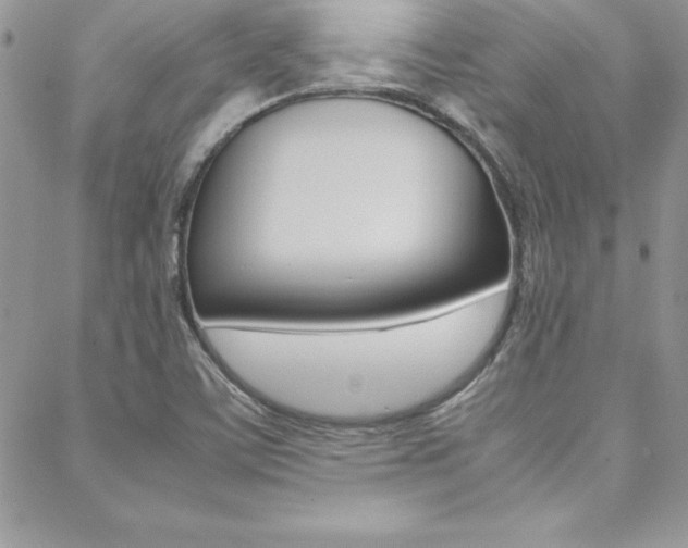 X0000089461459200706151054