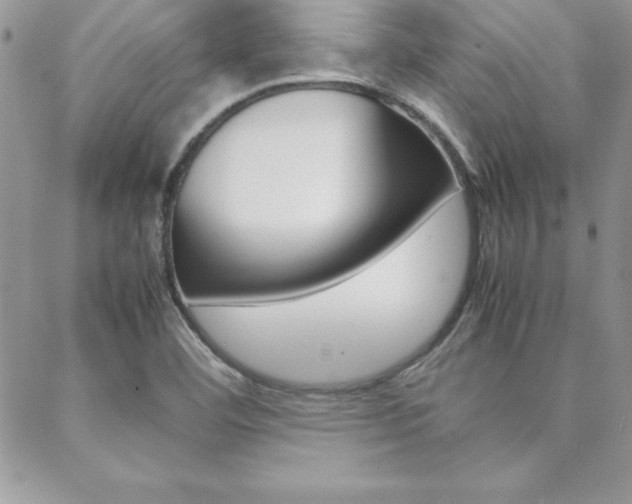 X0000089461460200706151054