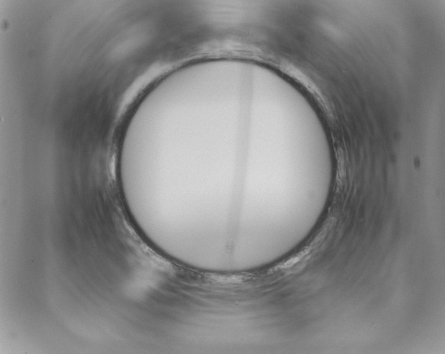 X0000089461462200706151053