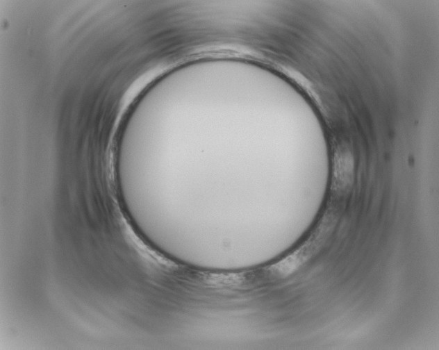 X0000089461466200706151053