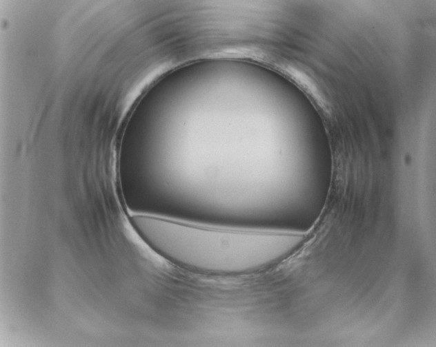 X0000089461476200706151053