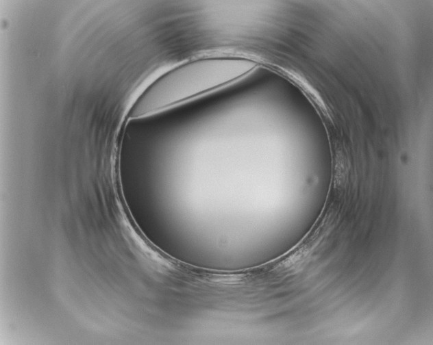 X0000089461484200706151053