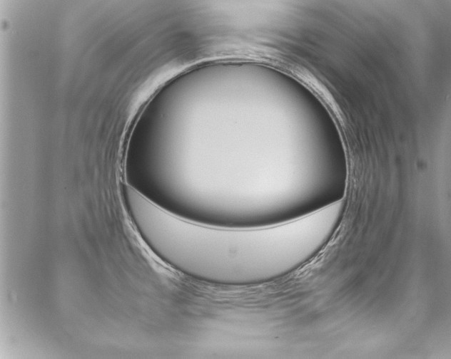 X0000089461485200706151053