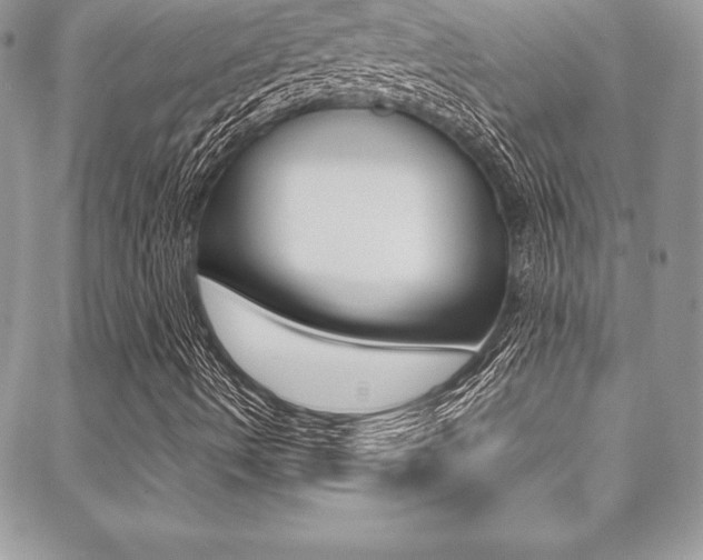 X0000089461490200706151052