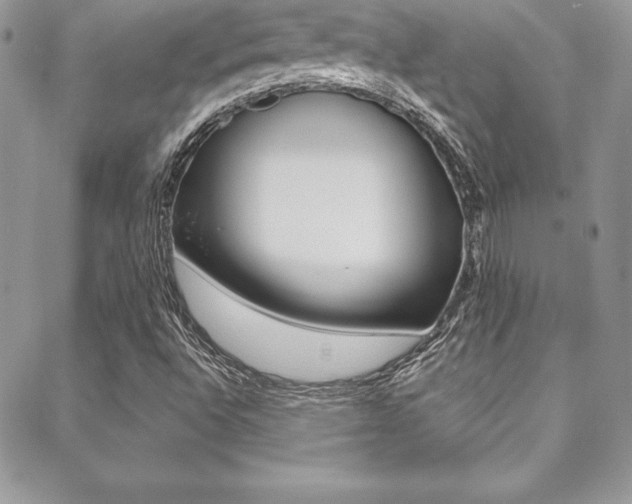 X0000089461496200706151052