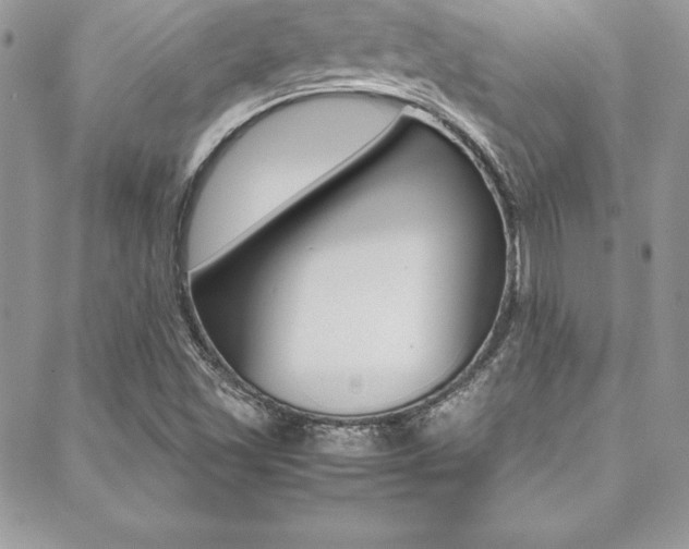 X0000089461501200706151052