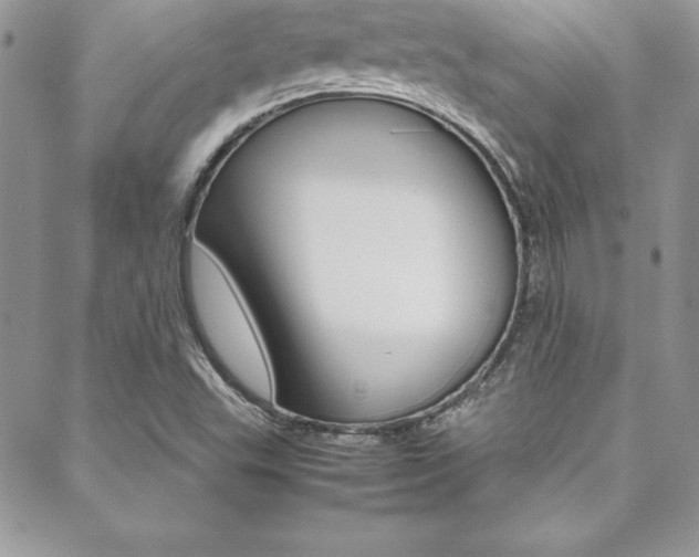 X0000089461503200706151053