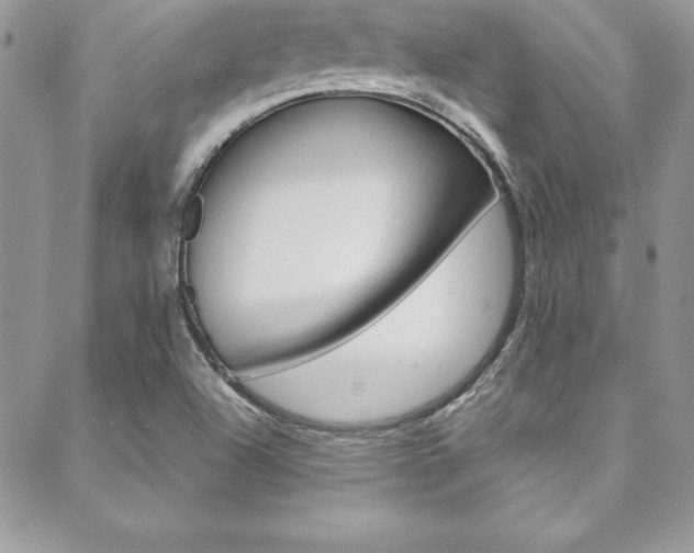 X0000089461504200706151053
