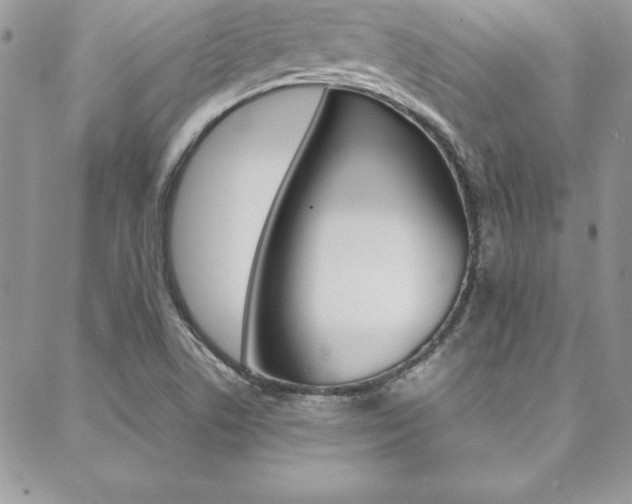 X0000089461506200706151053