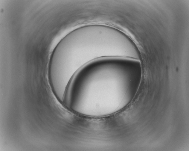 X0000089461512200706151053