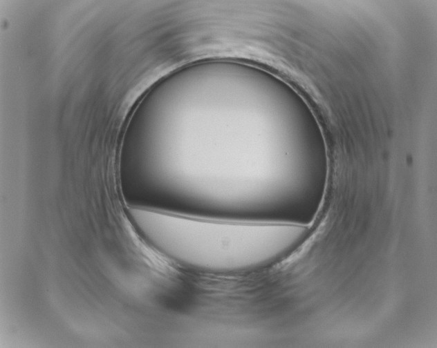 X0000089461513200706151053