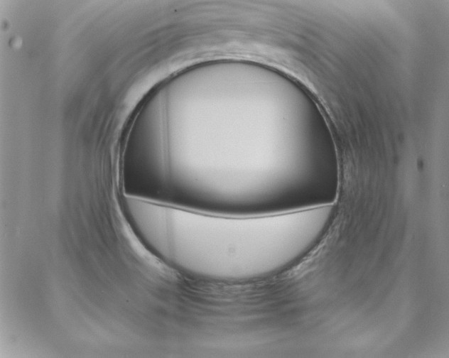 X0000089461515200706151053